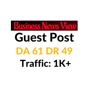 Businessnewsview Guest Post